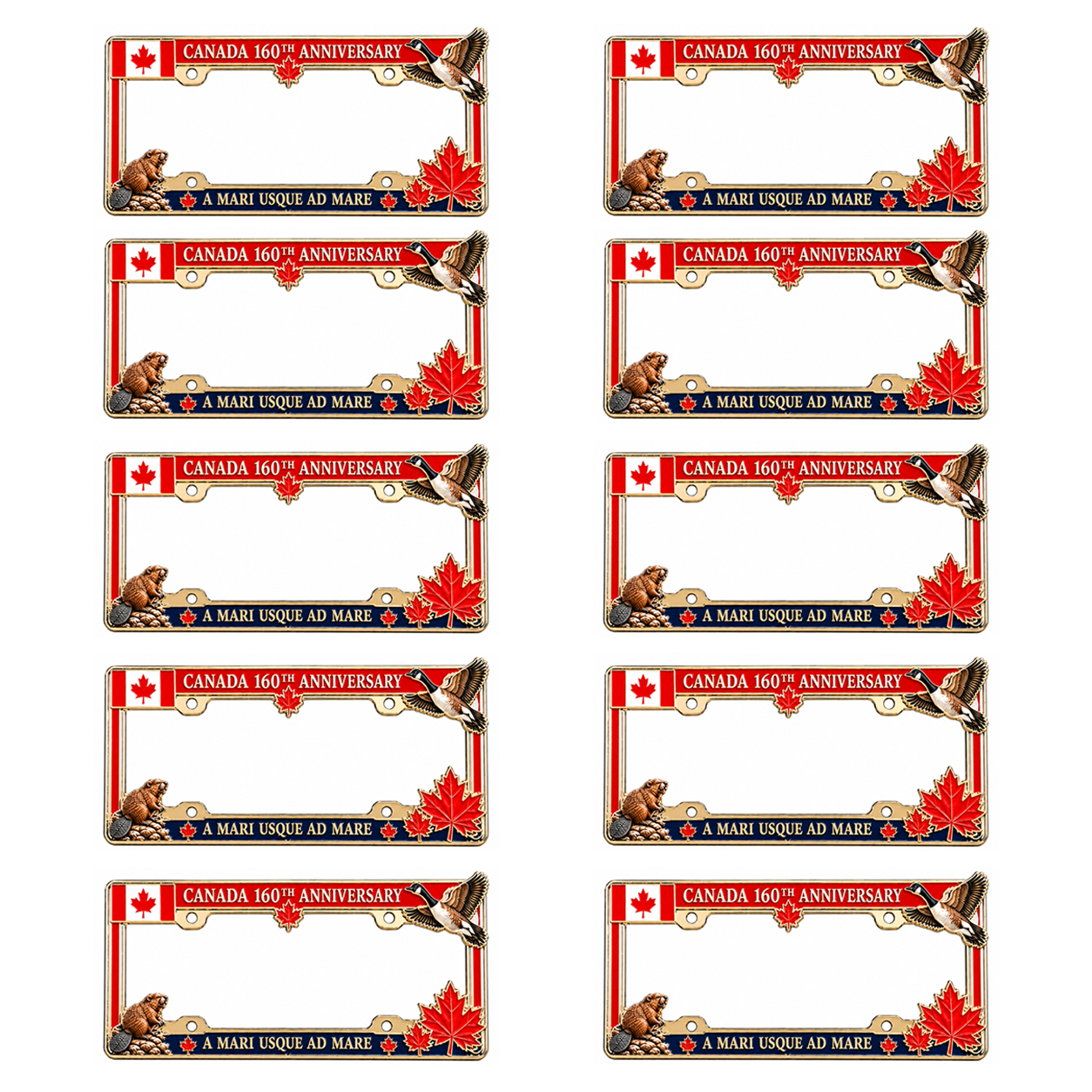 Buy 5 Get 5 Free (10Pcs) 👍Best Value & Free Shipping