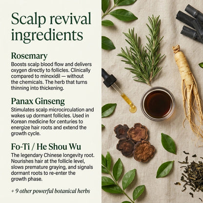 Korean Scalp Revival Bar